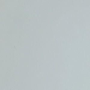 Meet your Posher, Carolina